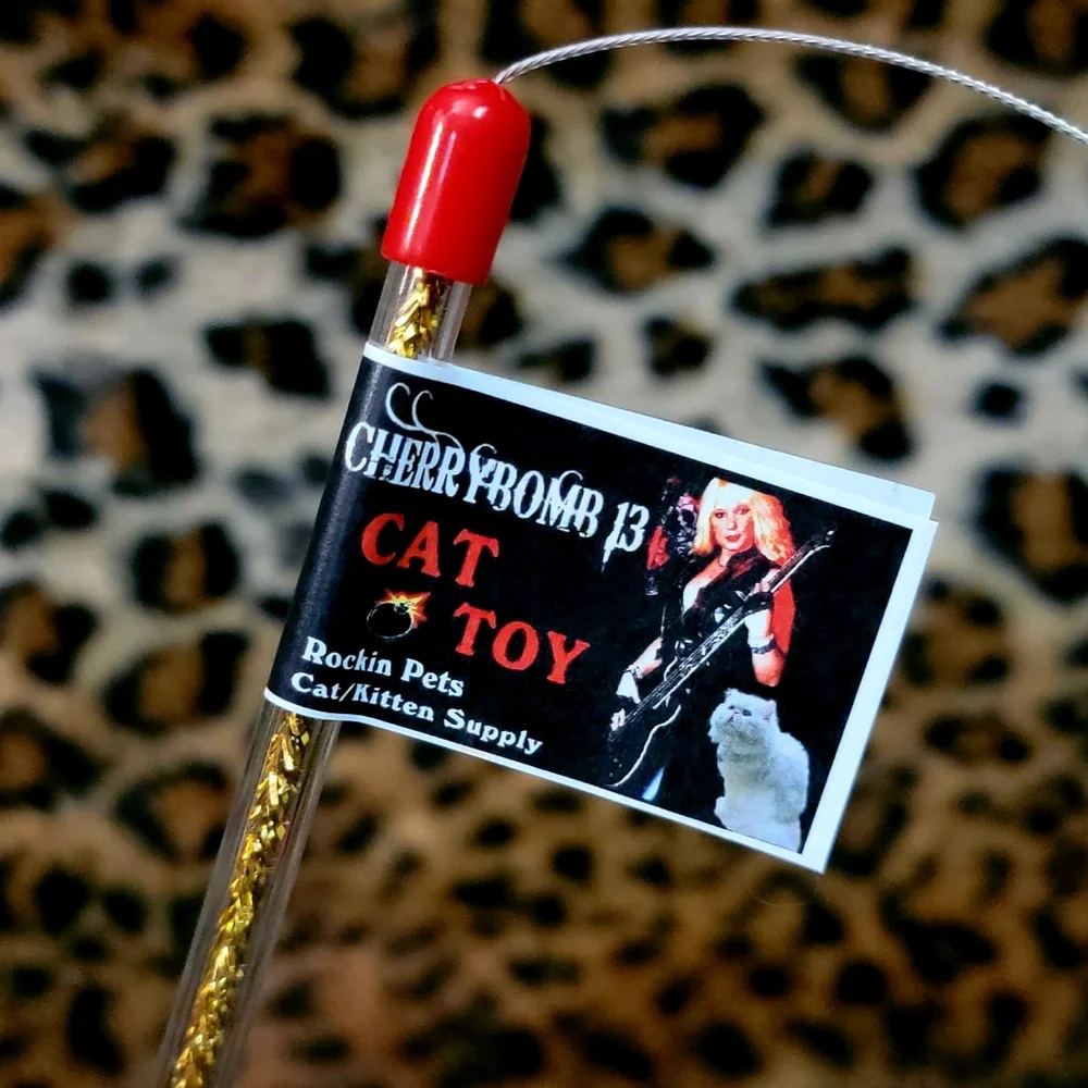 Cat Eye Wipes Stain Remover w Cherry Toy